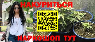 шишки Конаково
