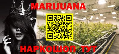 шишки Конаково