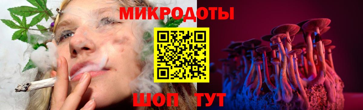 Заволжье  купить закладку  Вход с VPN  Псилоцибиновые грибы мухоморы 